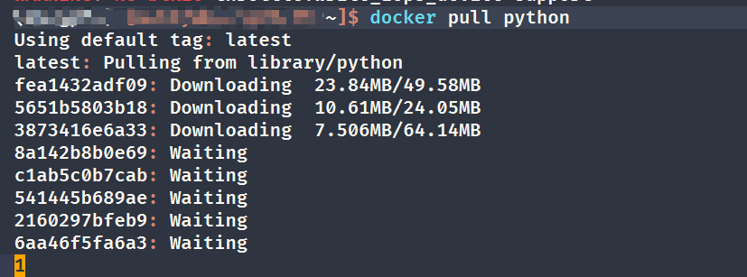 docker pull python